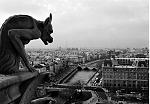 From up above Notre-Dame de Paris